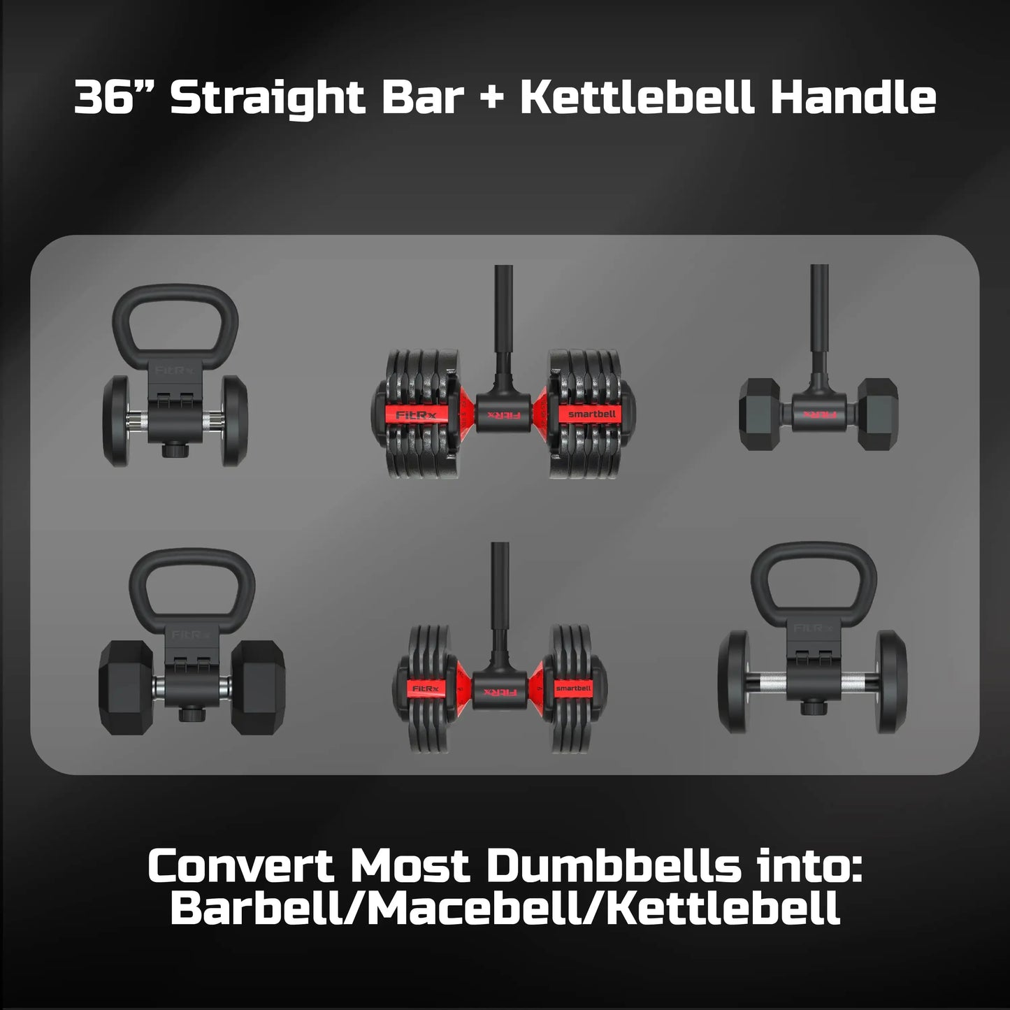 Dumbbell to Curl Bar