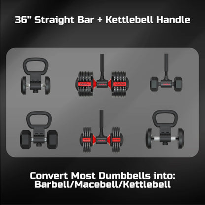 Dumbbell to Curl Bar